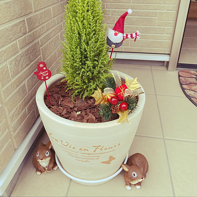 Roseさんの実例写真