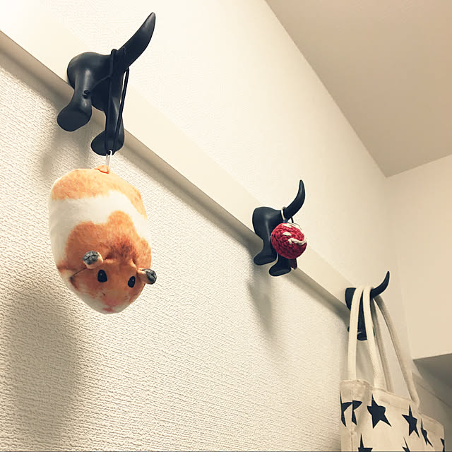 ohanaさんの実例写真