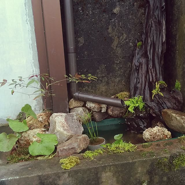 Benriyaさんの実例写真
