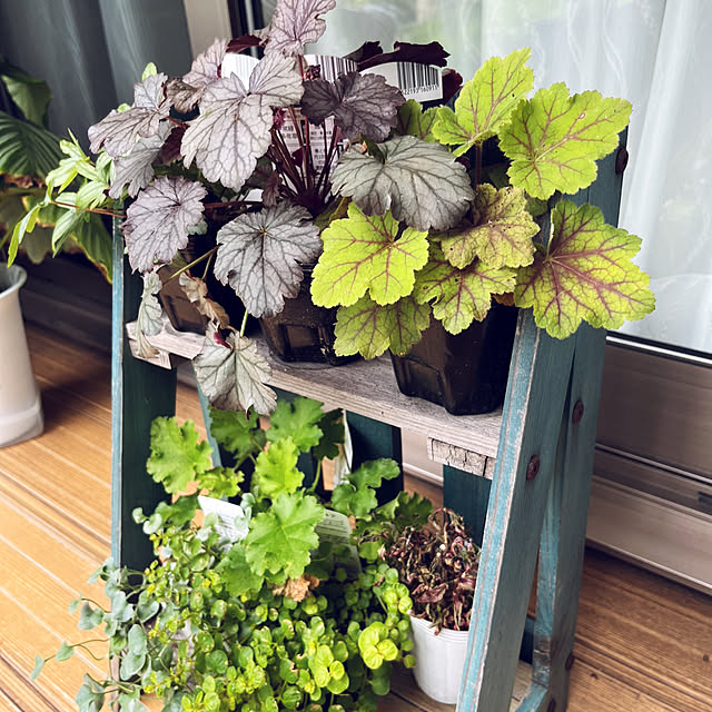 yukarin-gardenさんの部屋