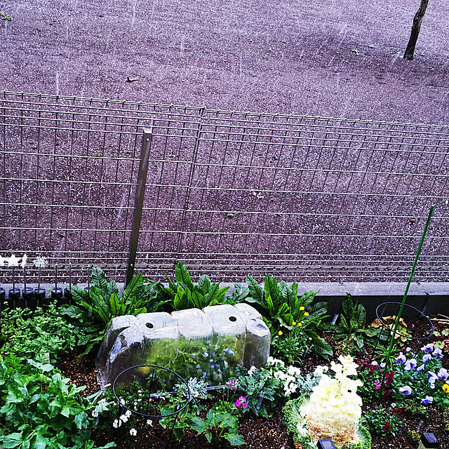 mmpoohさんの実例写真