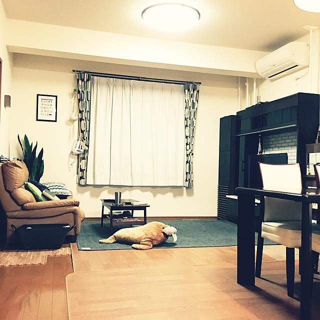 mokichiさんの実例写真
