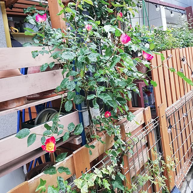 kazuさんの部屋