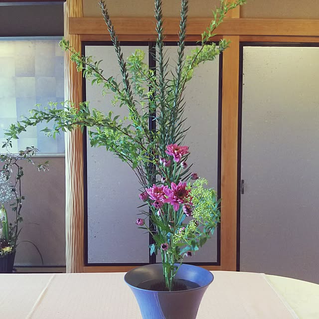 okyo0904さんの実例写真