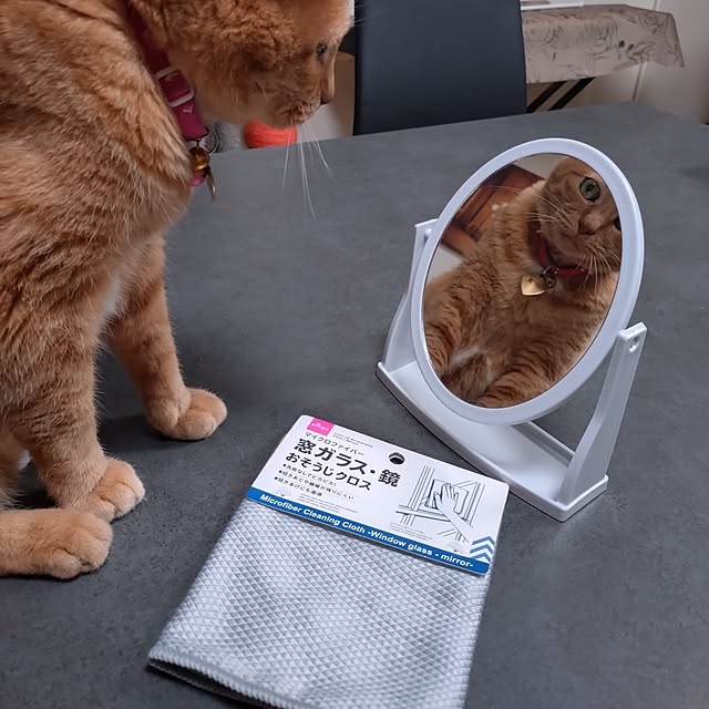 NOAHさんの実例写真