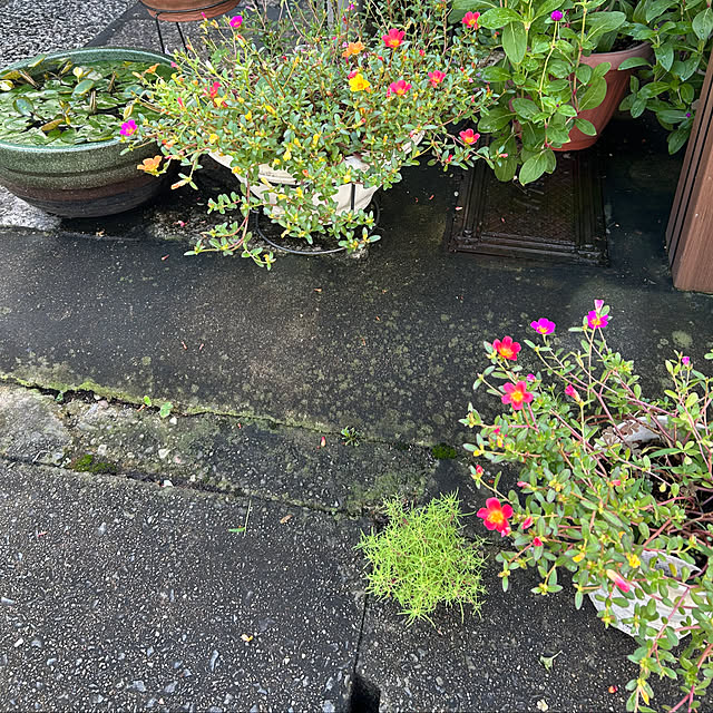 fumikoiさんの部屋