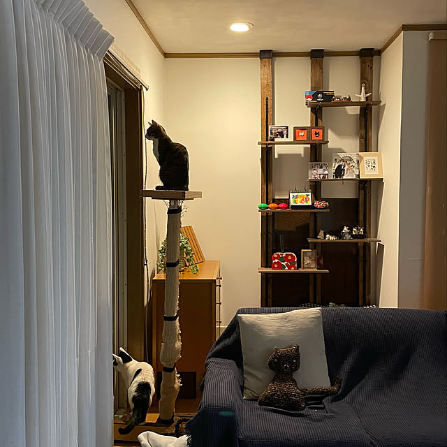 nobikoさんの実例写真