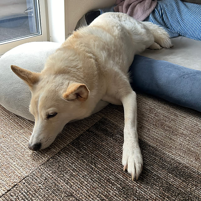 tanboさんの部屋