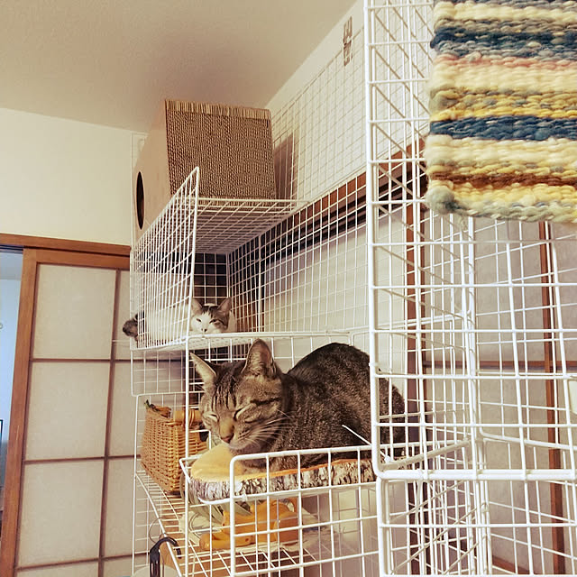 Mikaさんの実例写真