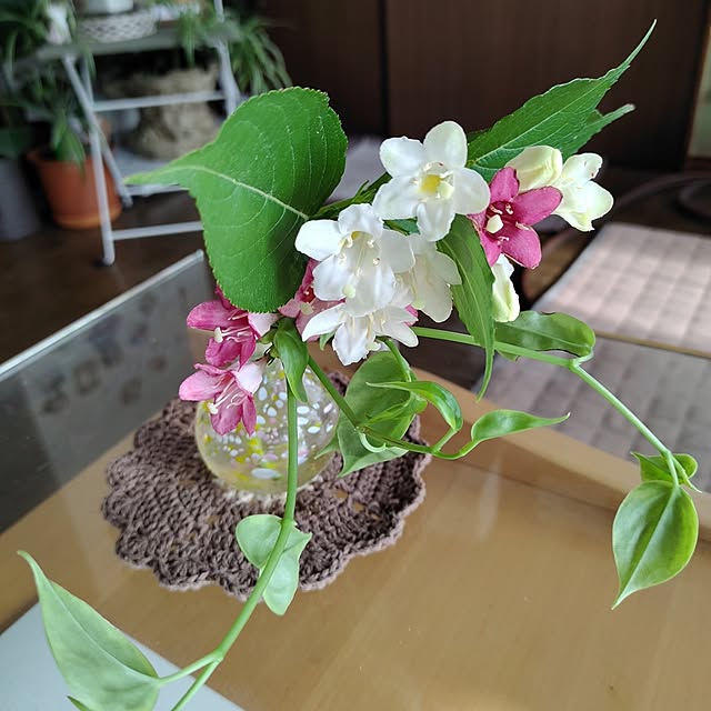 kiraさんの部屋