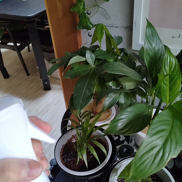 runaさんの部屋