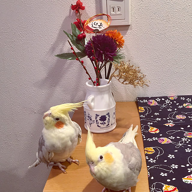 puriyuzuさんの実例写真