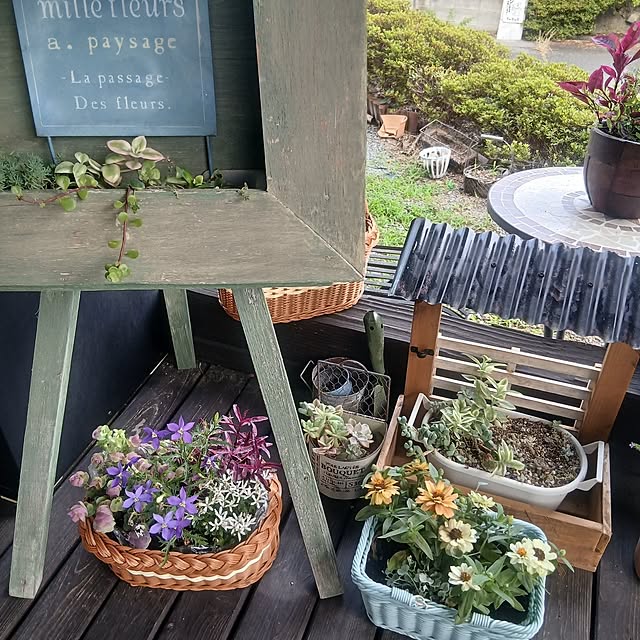 murasaki808さんの部屋