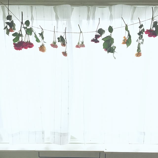 yuairiさんの実例写真