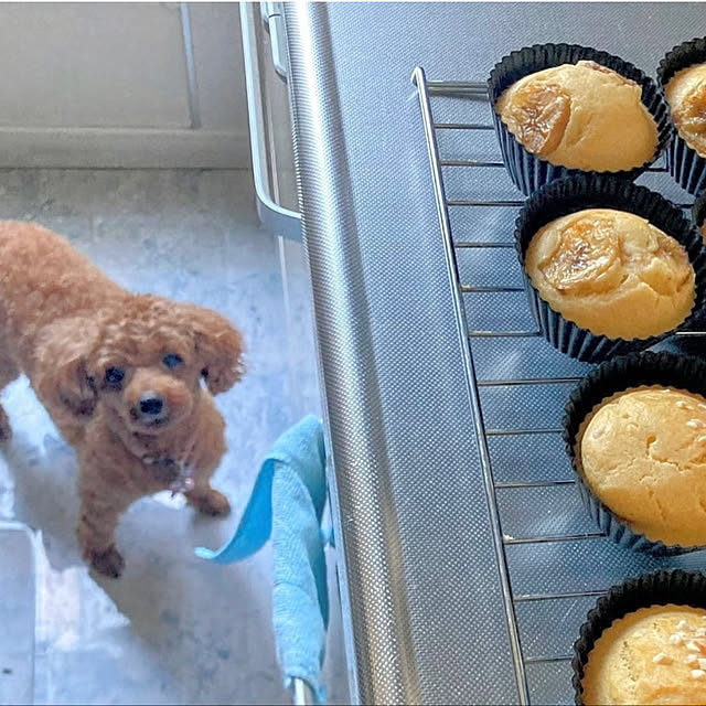 MOMOMAMAさんの実例写真