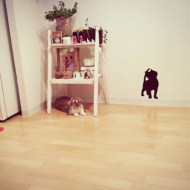 mi_goさんの実例写真