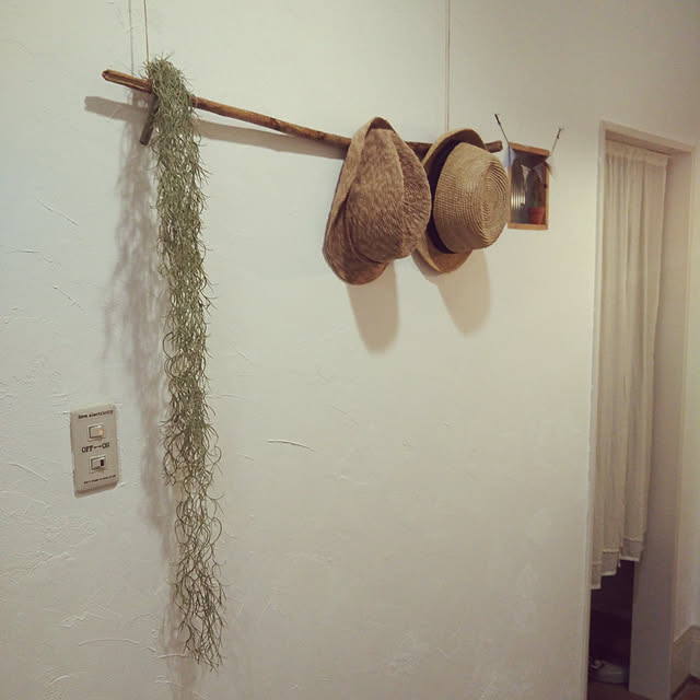 naotoさんの実例写真