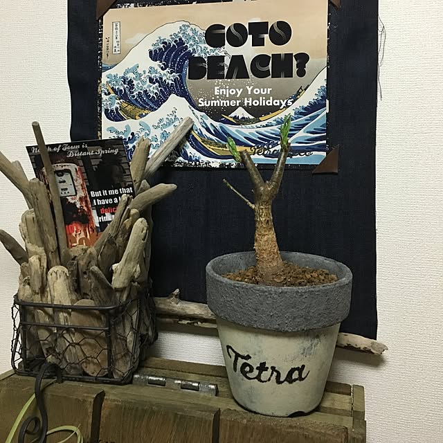tetra163さんの実例写真