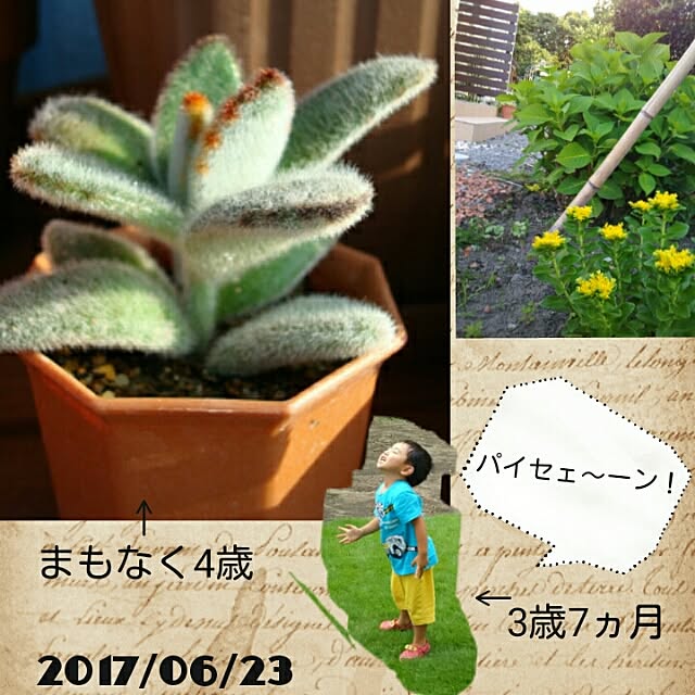 bousuke.215112さんの実例写真