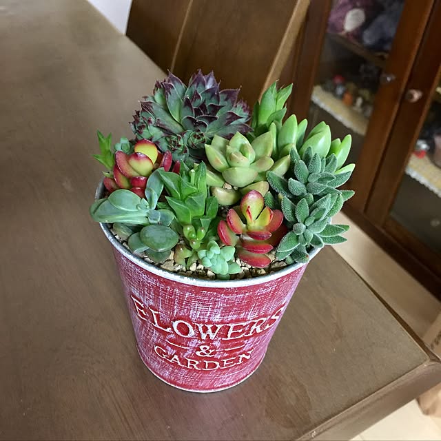 akosanさんの実例写真