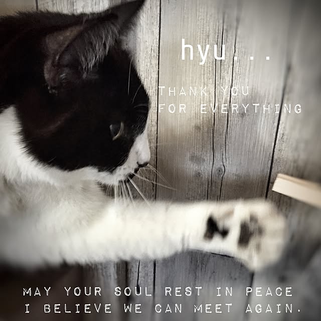 heeさんの実例写真