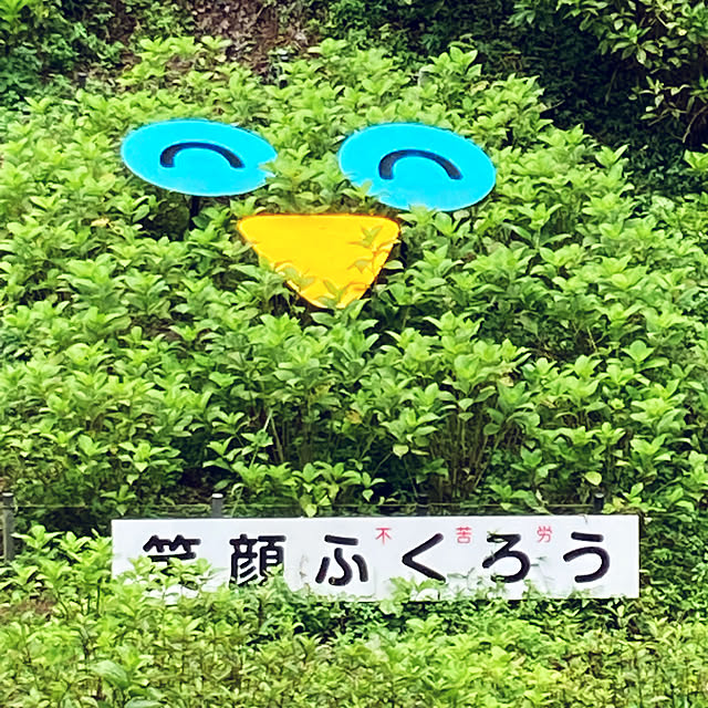 壁/天井のインテリア実例 - 2022-08-23 18:29:12