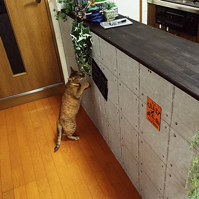 jdannabcさんの実例写真