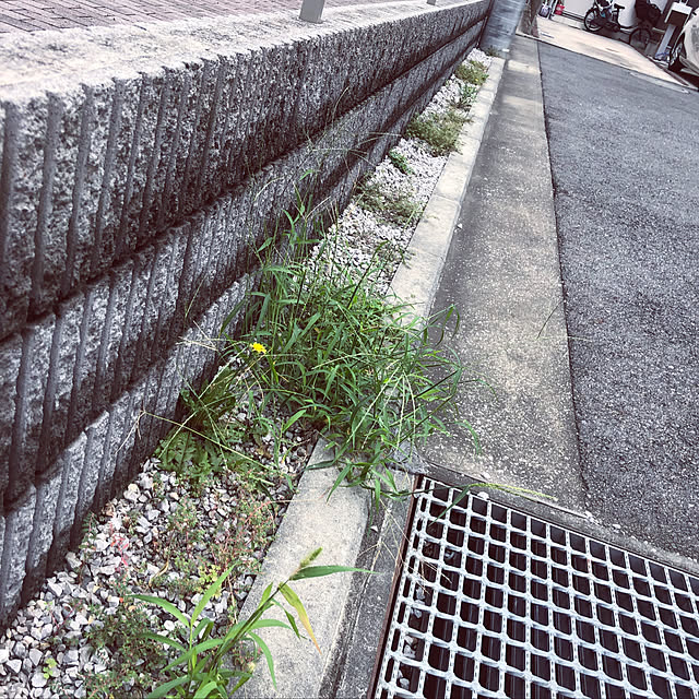 suzyさんの実例写真