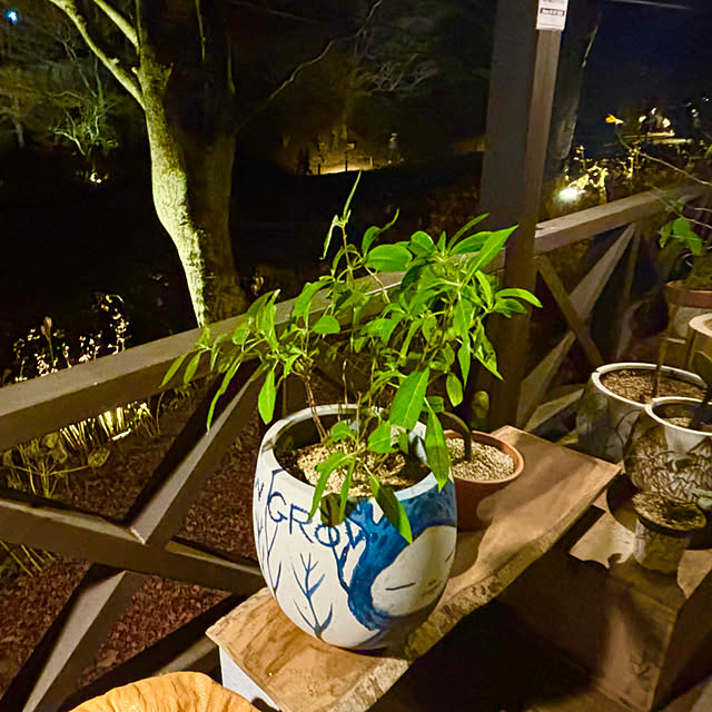 tututu0204さんの部屋