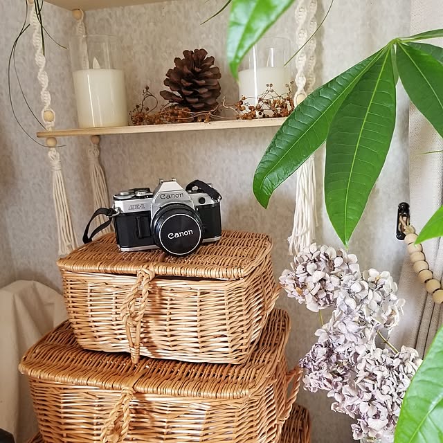 midoriさんの部屋