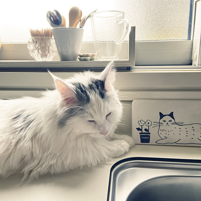 miwaさんの実例写真