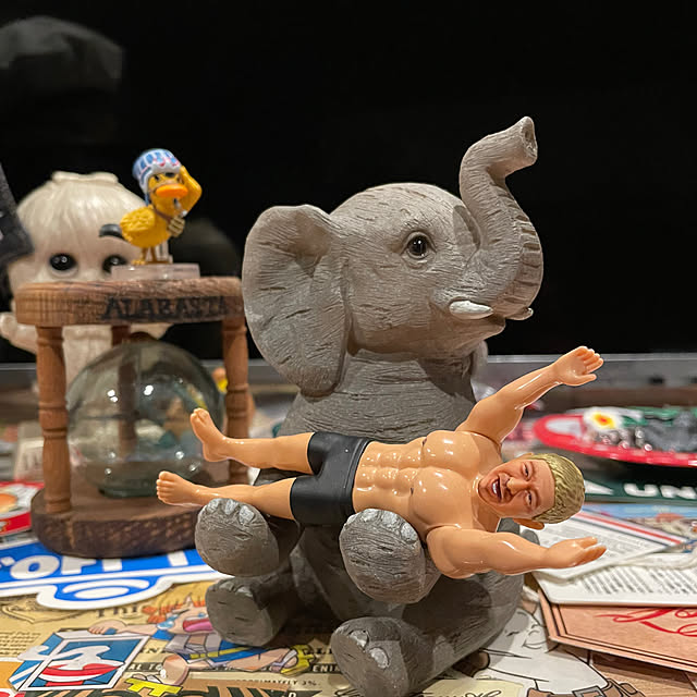 POYOさんの実例写真