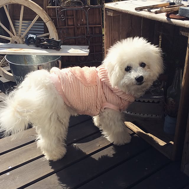 happy_bridgeさんの実例写真