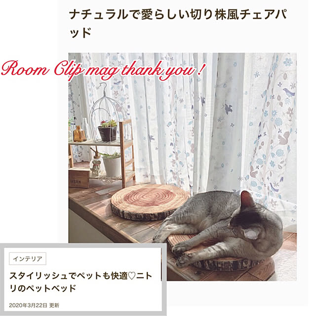 kotoriさんの実例写真