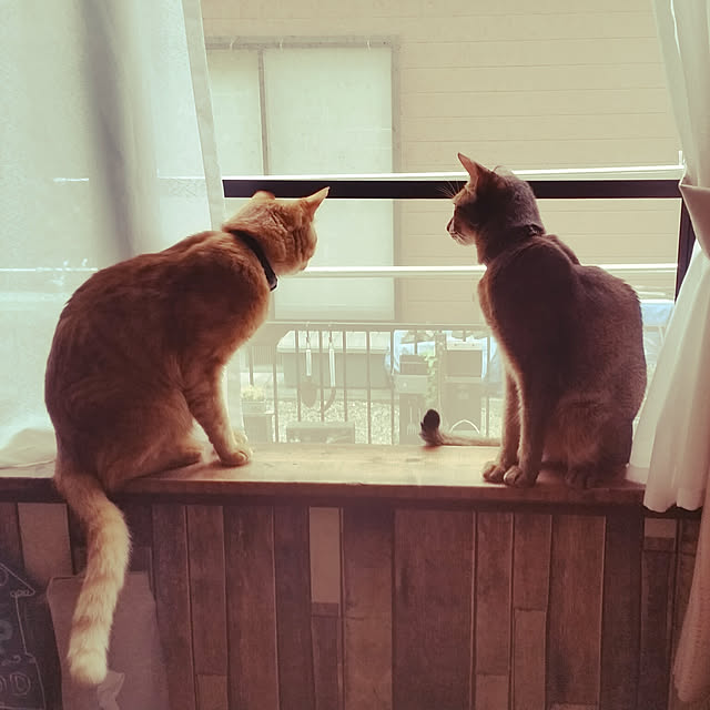 kichiさんの実例写真