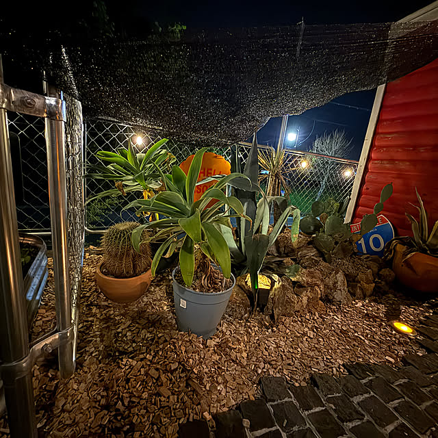 ngc6093さんの実例写真