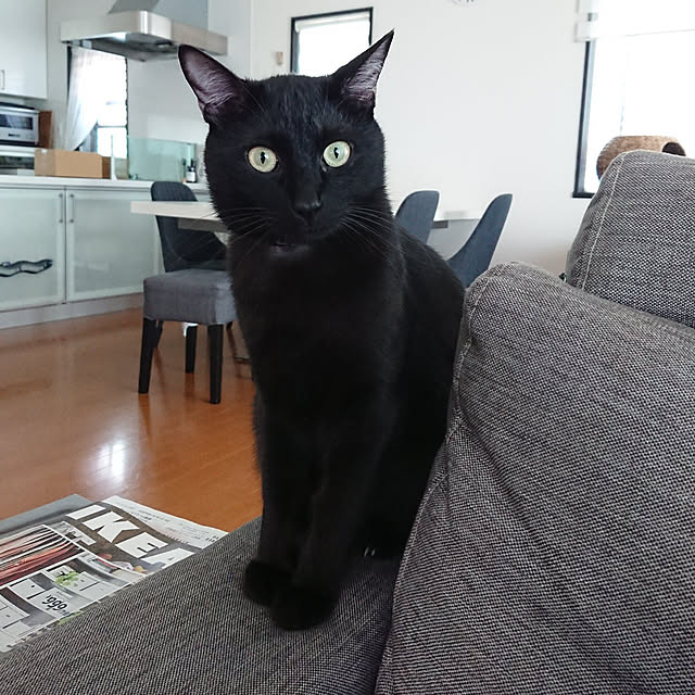 maikyさんの実例写真