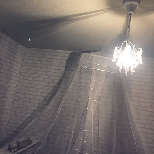 neiさんの実例写真