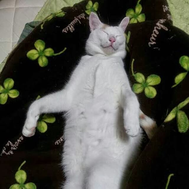Yukikoさんの実例写真