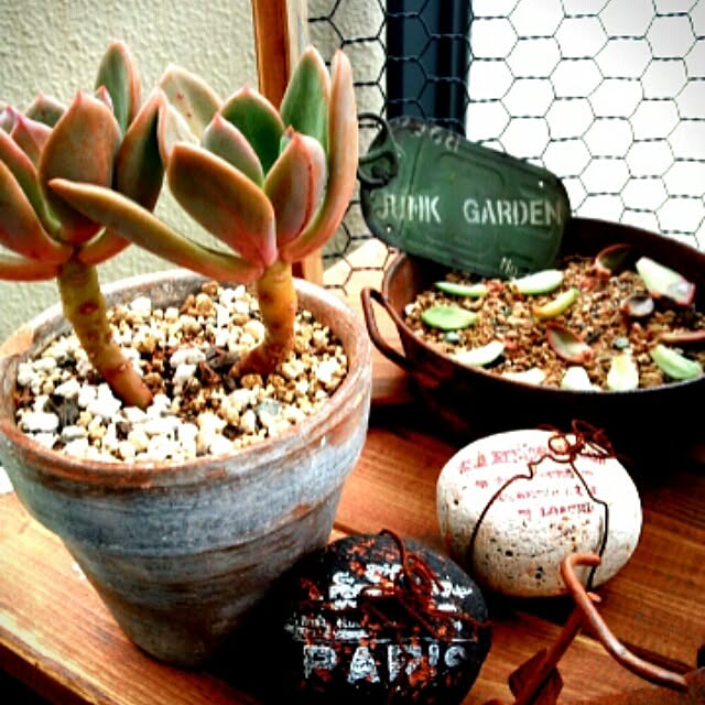 kaochanさんの実例写真