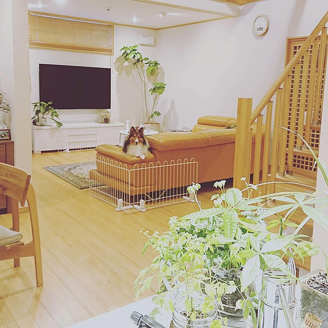 akime26さんの実例写真