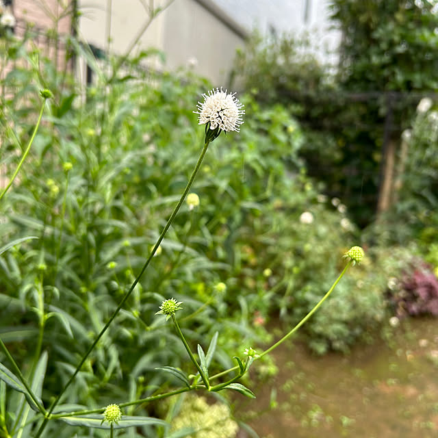 masaさんの部屋