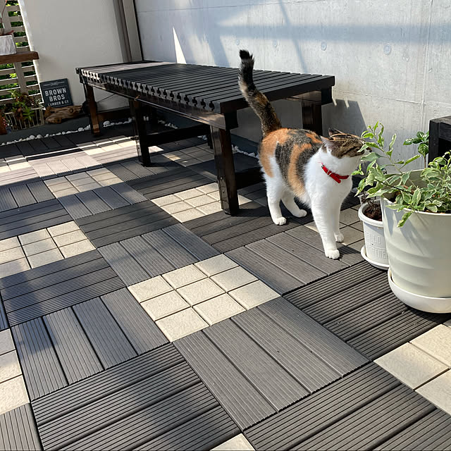 tomotomoさんの実例写真