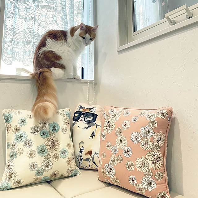 ukoさんの実例写真
