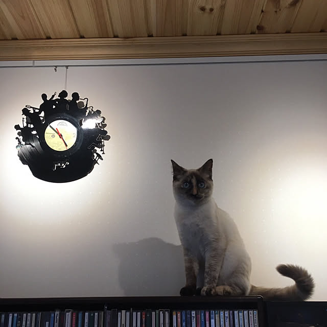 Moricさんの実例写真