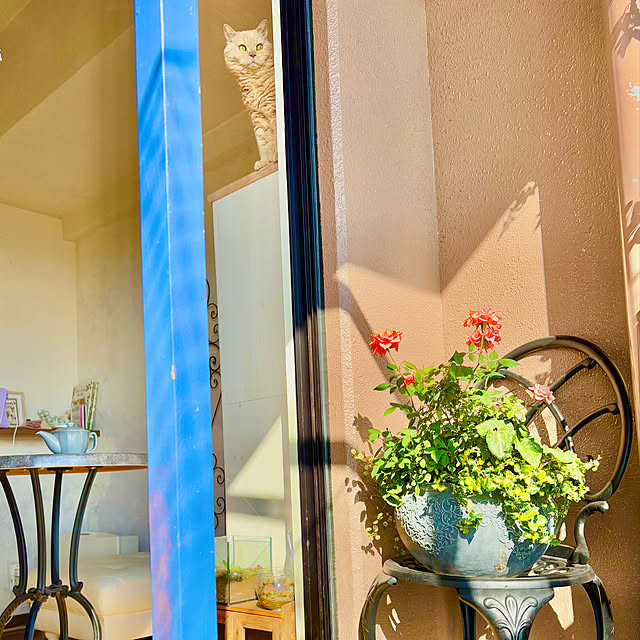 naokoさんの部屋