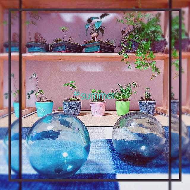 koyuriさんの実例写真