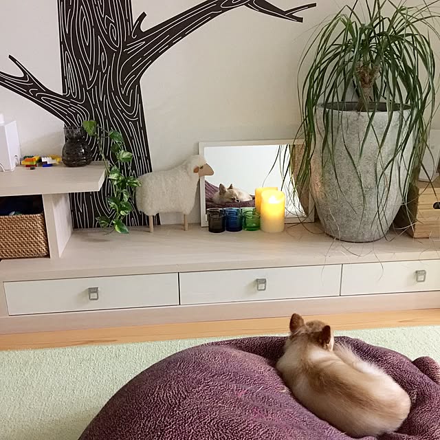haruhinaさんの実例写真