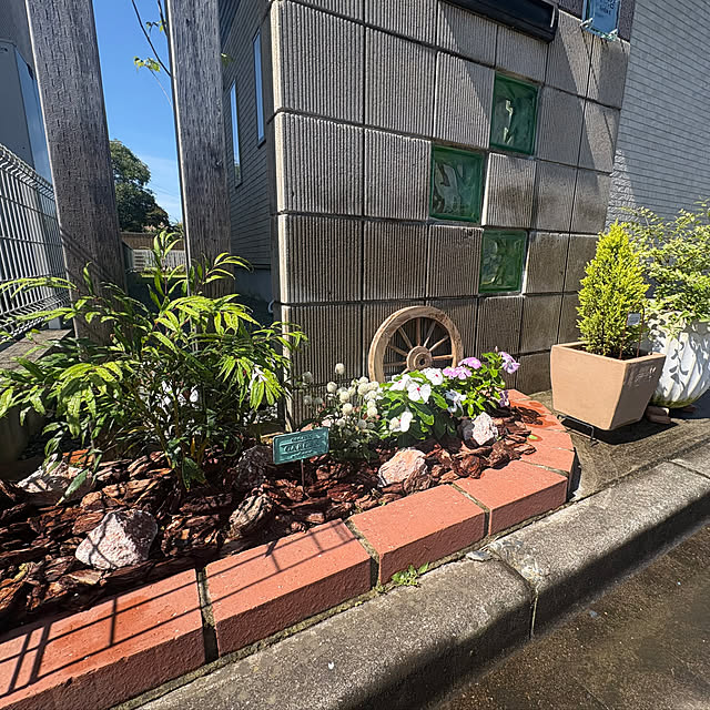 Haruさんの部屋