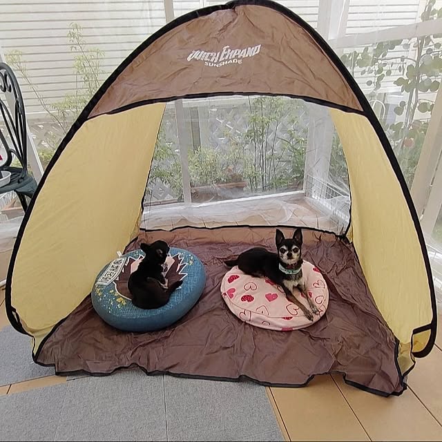 Bienvenueさんの部屋